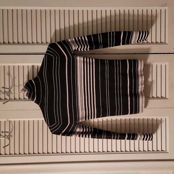 Stripped Turtleneck Sweater - Picture 1 of 2
